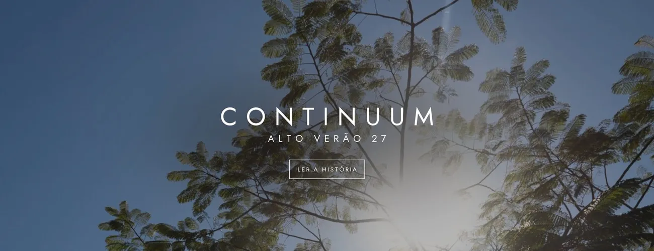 CONTINUUM · Alto Verão 27: árvore contra o sol de verão, imagem da campanha